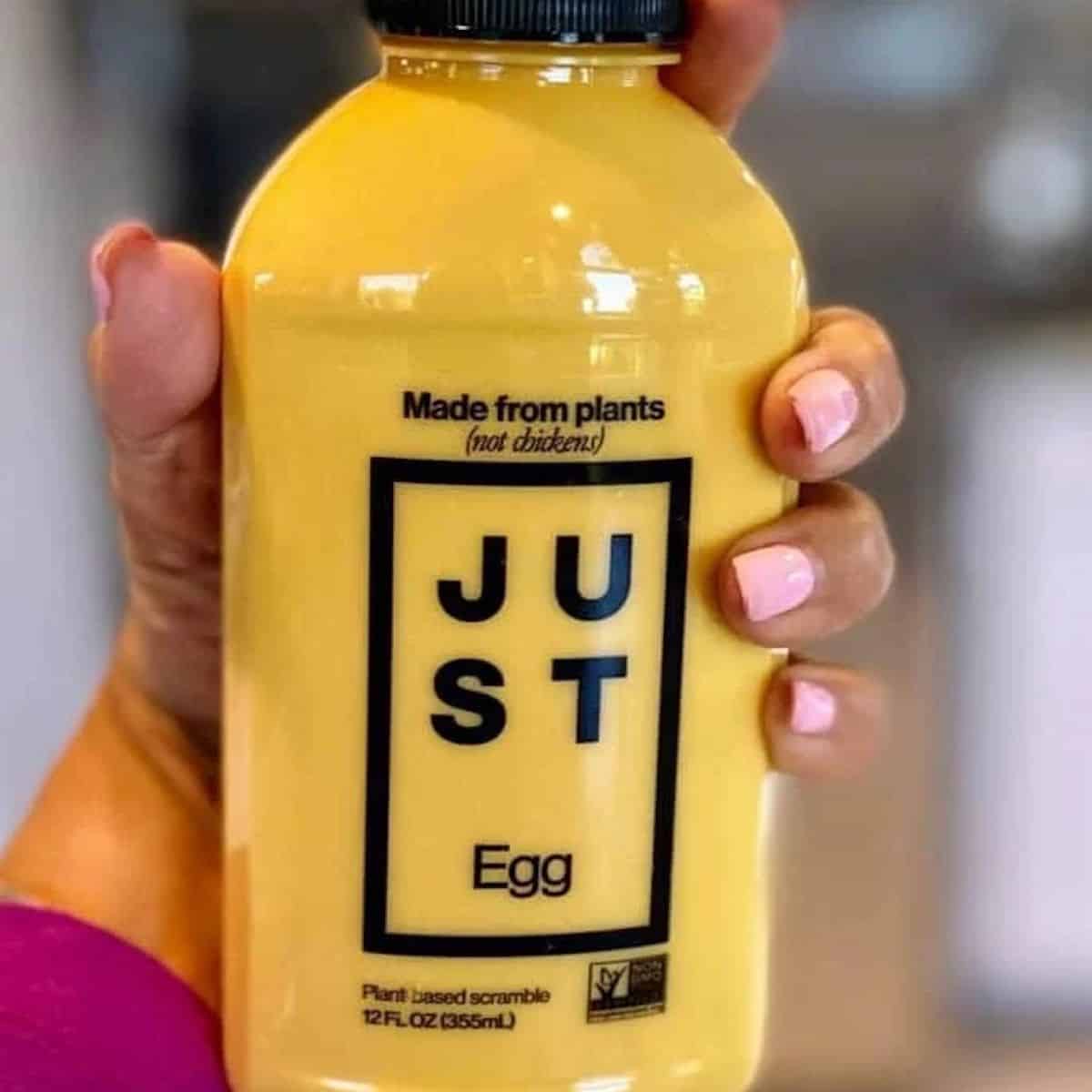 JUST Egg Review Kathy's Vegan Kitchen