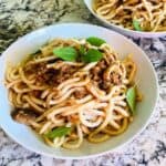 yaki udon noodles
