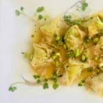 vegan edamame dumpling
