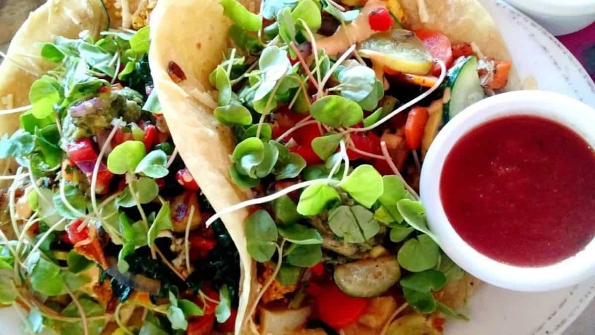 Vegan lentil tacos with raspberry sauce on the side on a plat with microgreens. 