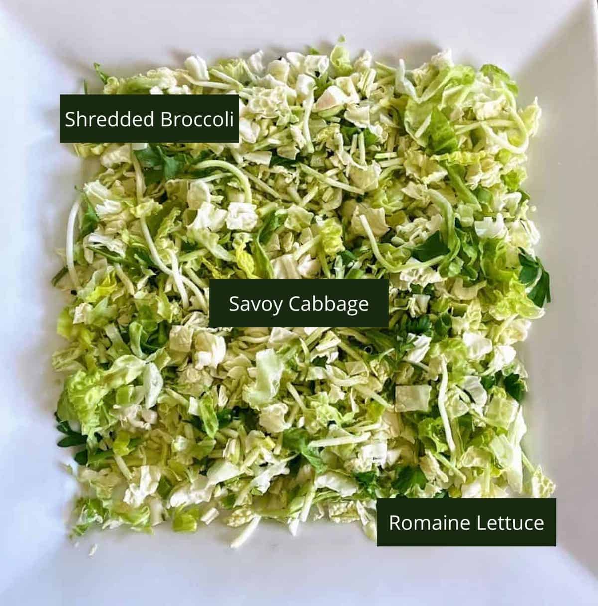 Chopped and shredded Romaine lettuce, shredded broccoli, and savory cabbage on a plate.