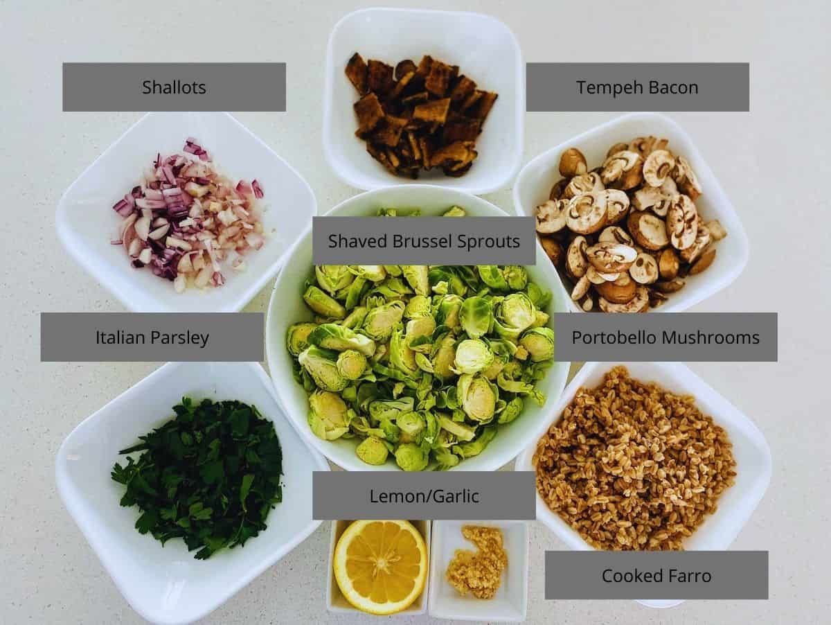 Italian Farro Ingredients in bowls: Shaved Brussel Sprouts, Tempeh Bacon, Portobello Mushrooms, Cooked Farro, Garlic, Lemon, Italian Parsley, and Shallots on the counter. 
