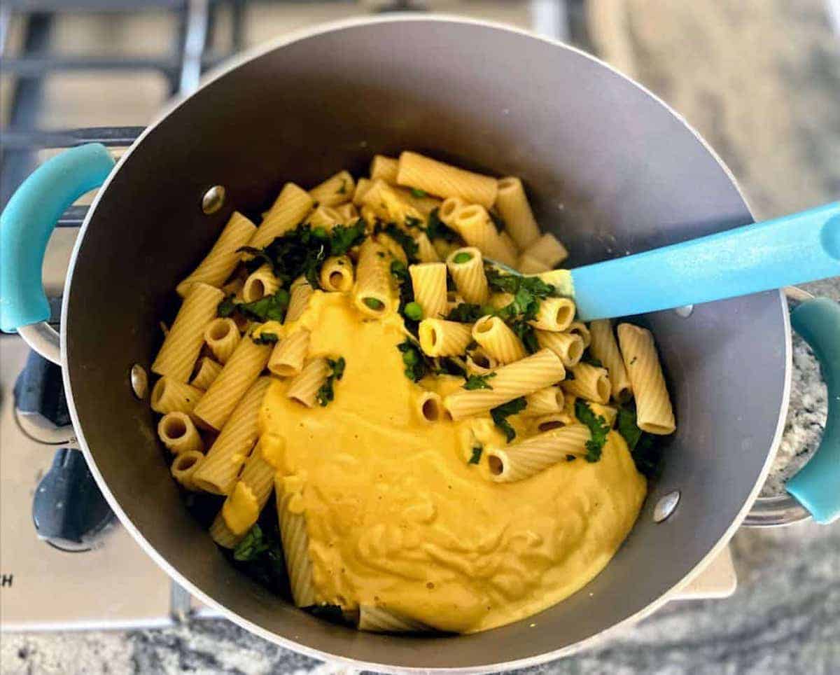 I am adding the sauce to the pasta recipe